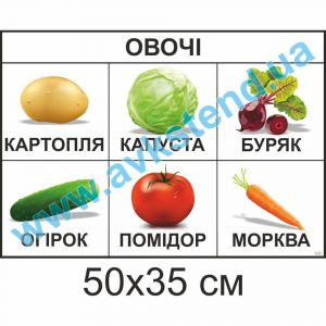 купити Посібник
