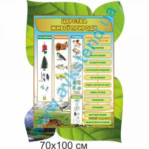 купити Стенд