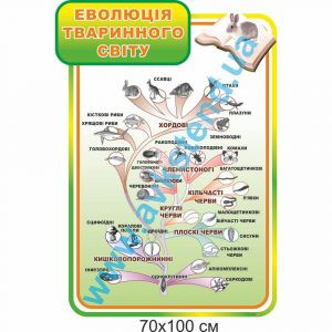 купити Стенд