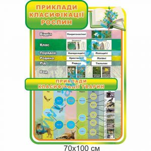 купити Стенд