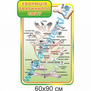 купити Стенд