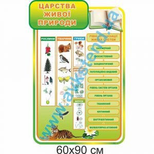 купити Стенд