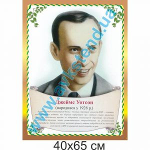 купити Стенд