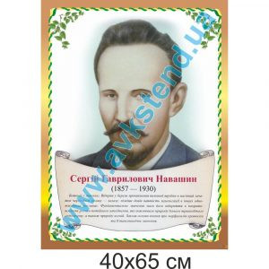 купити Стенд