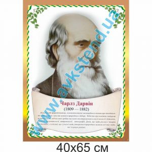 купити Стенд