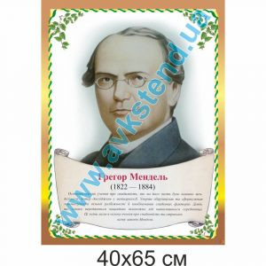 купити Стенд