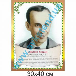 купити Стенд