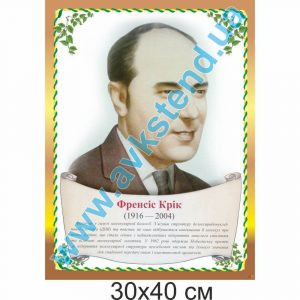 купити Стенд