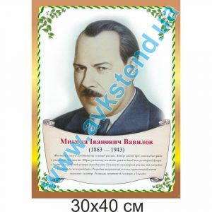 купити Стенд