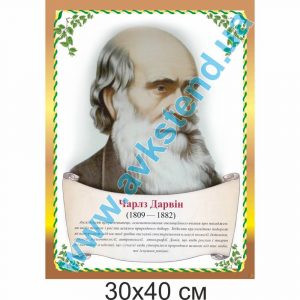 купити Стенд
