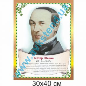 купити Стенд