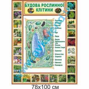 купити Стенд