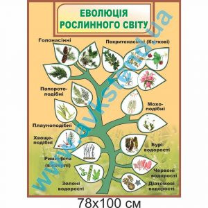 купити Стенд