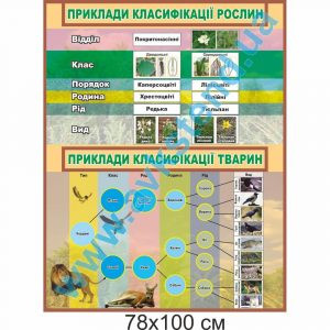 купити Стенд