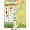 купити Стенд