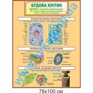 купити Стенд