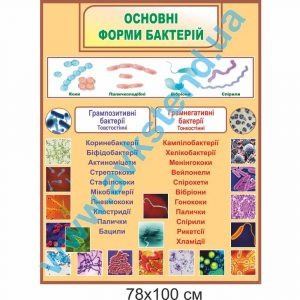 купити Стенд