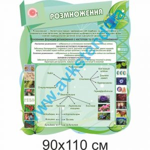 купити Стенд