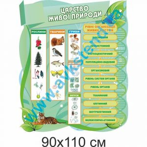 купити Стенд