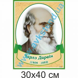 купити Стенд