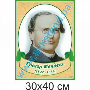 купити Стенд