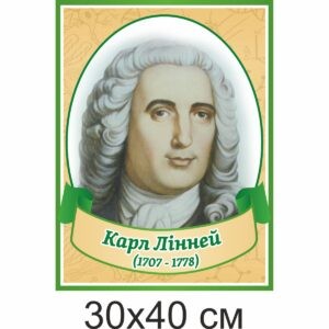 биология, биологические стенды, біологія, біологічні стенди, стенди для кабінету біології, стенды для кабинета биологии, стенди для кабінету біології купити, кабінет біології, стенди для шкільних кабінетів замовити, стенды для кабинета биологии купить, кабинет биологии, стенды для школьных кабинетов заказать, кабінет біології, Україна, Украина, вчені, біологи Карл Лінней