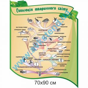 купити Стенд