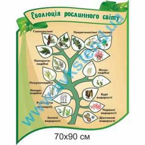 купити Стенд