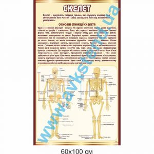 купити Стенд