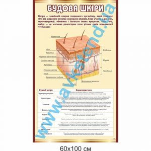 купити Стенд