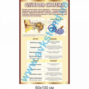 купити Стенд