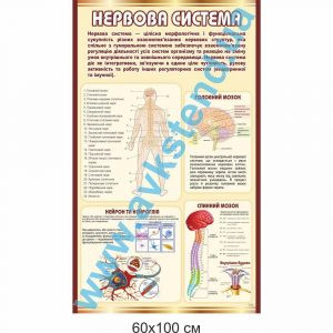 купити Стенд