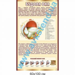 купити Стенд