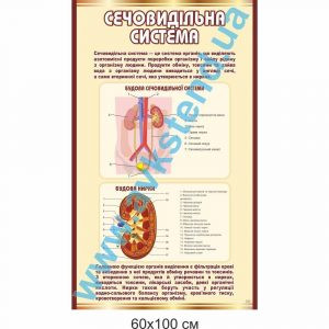 купити Стенд