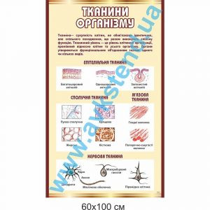 купити Стенд