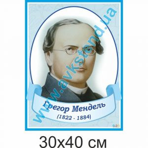 купити Стенд