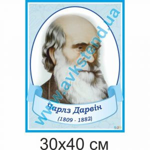 купити Стенд