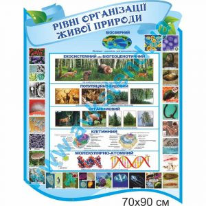 купити Стенд