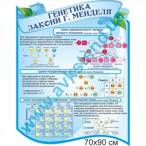 купити Стенд