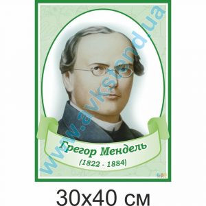 купити Стенд