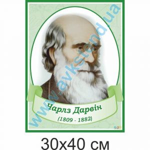 купити Стенд