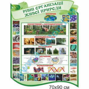 купити Стенд