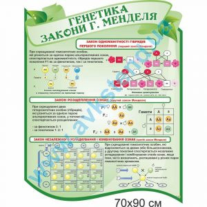 купити Стенд