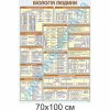 купити Стенд