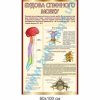 купити Стенд