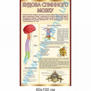 купити Стенд