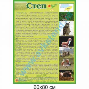 купити Стенд