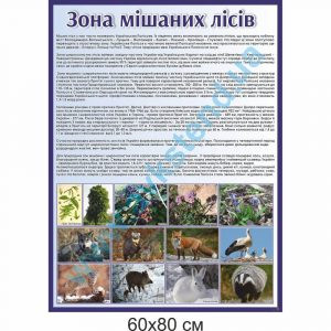купити Стенд