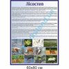 купити Стенд