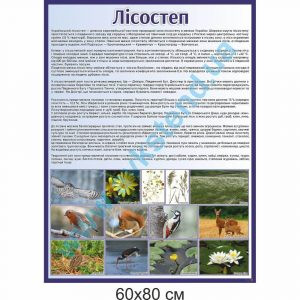 купити Стенд